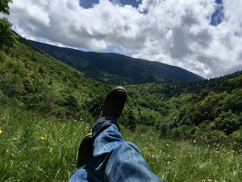 Album Pyrénées