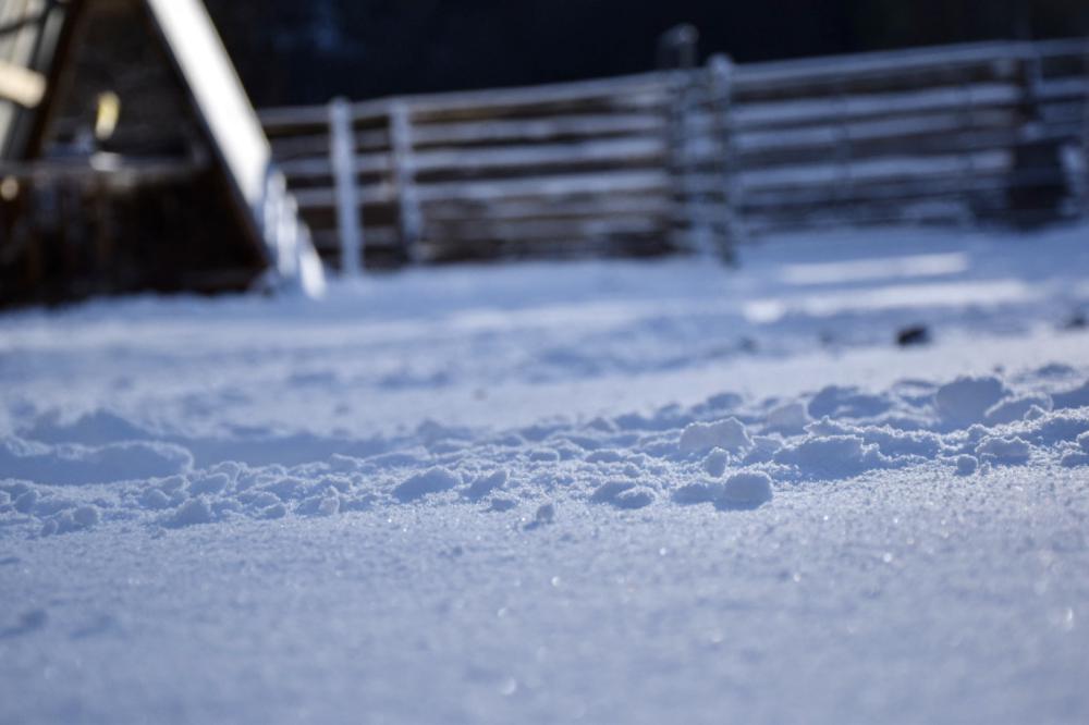 Neige au Arnaud Ranch
