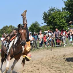 Voltige cosaque Arnaud Ranch et Spectacles