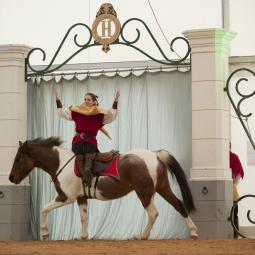 Voltige cosaque en liberté Arnaud Ranch et Spectacles