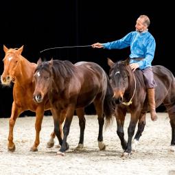 Liberté Connivence Arnaud Ranch et Spectacles