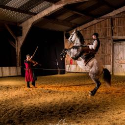 Dressage en symphonie