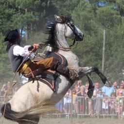 Pirates ! Arnaud Ranch et Spectacles